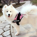 Peitoral DogFit | Passeio mais seguro e sem puxões!