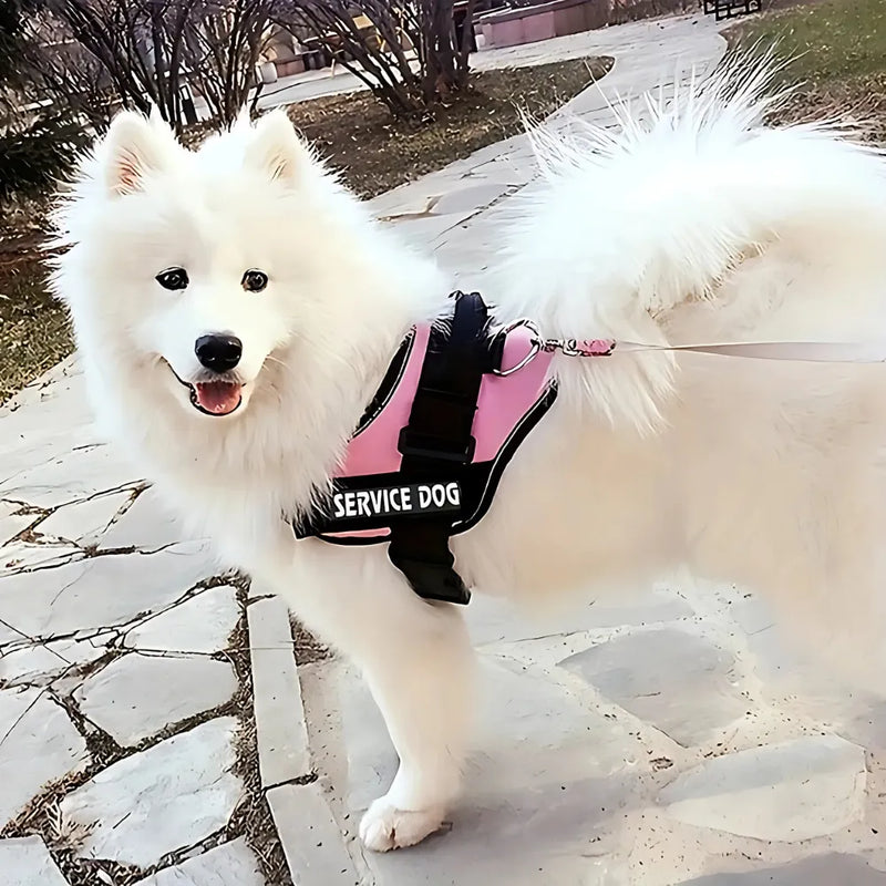 Peitoral DogFit | Passeio mais seguro e sem puxões!