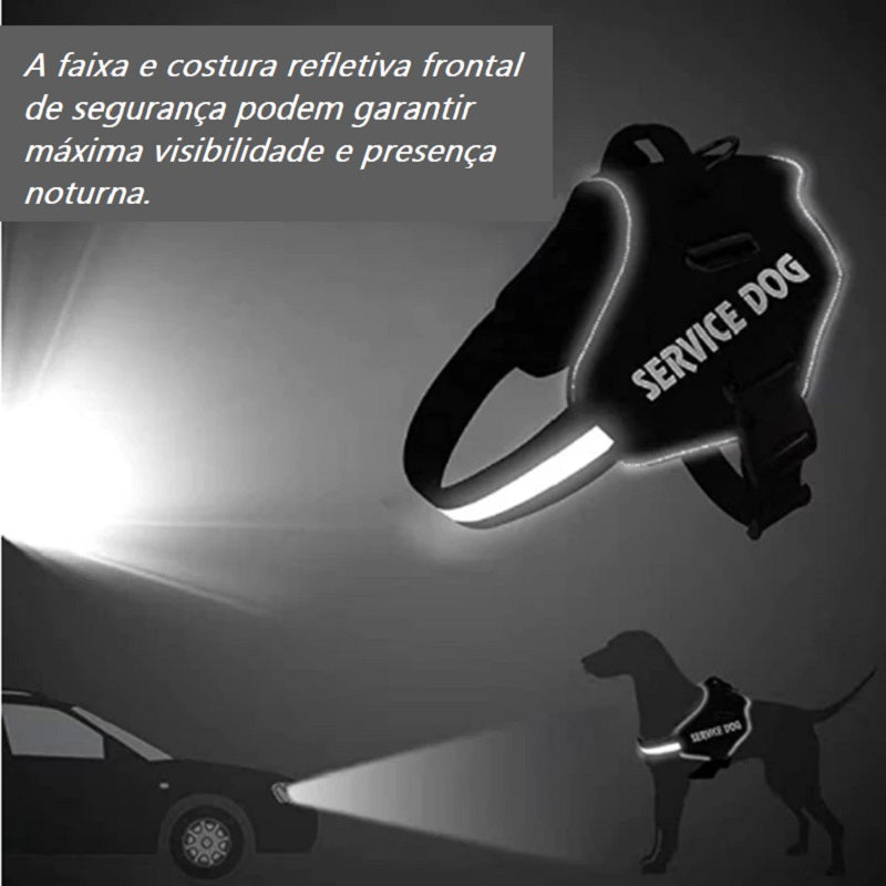 Peitoral DogFit | Passeio mais seguro e sem puxões!